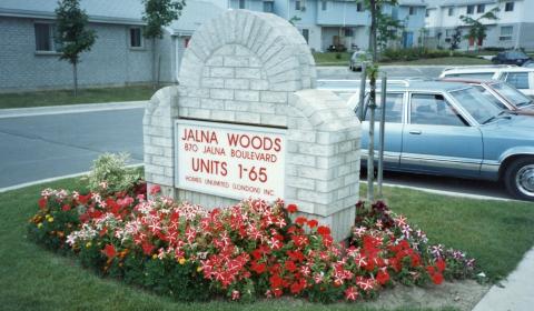 Jalna Woods